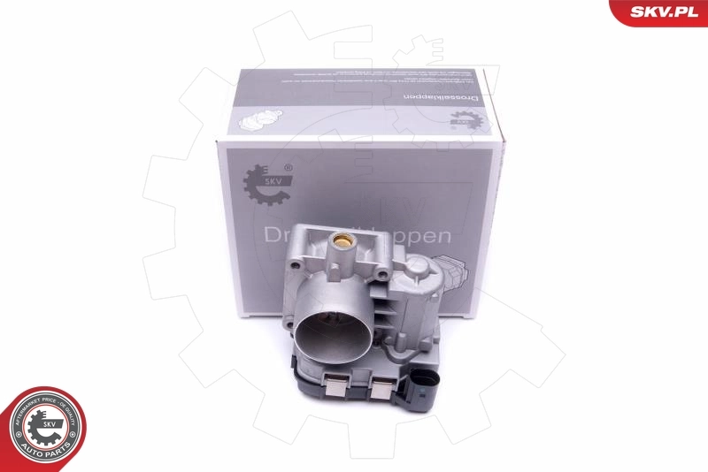 Throttle Body